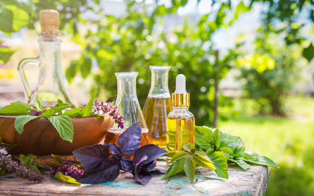 Natural Ingredients and Innovation: The Future of Green Cosmetics